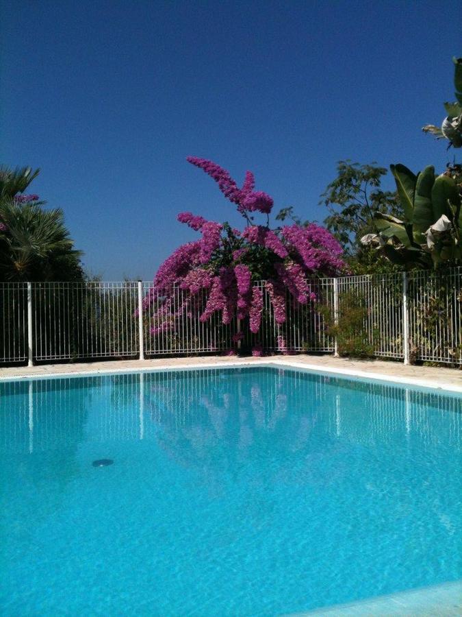 Auberge U Licettu Cuttoli-Corticchiato ภายนอก รูปภาพ